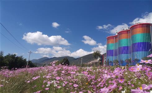 BIPV，讓水泥廠變花園！