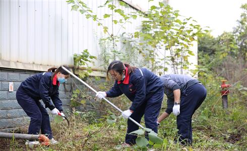 成都中建材生產(chǎn)第二黨支部深入學(xué)習(xí)貫徹黨的十九屆六中全會精神并開展“我為群眾辦實事”服務(wù)活動